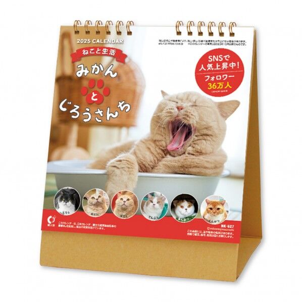 卓上カレンダー ねこと生活 みかんとじろうさんち 220×163×12mm NK8527 1冊...