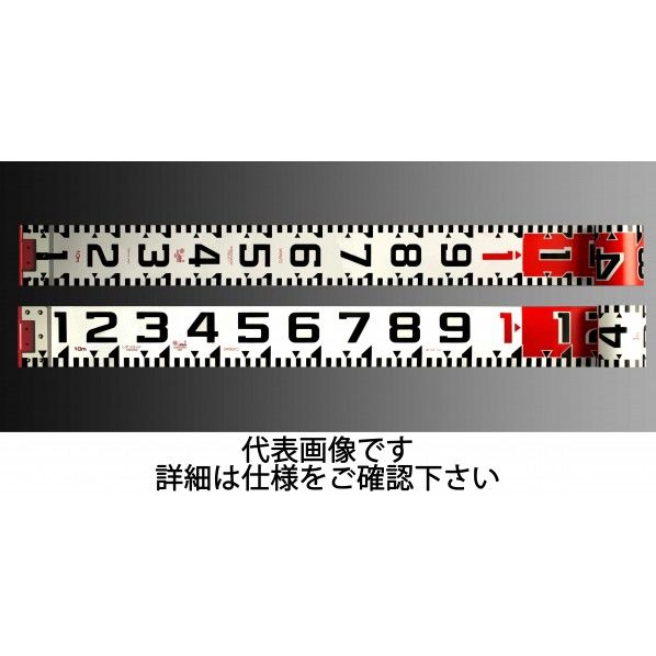 R12A10 1個