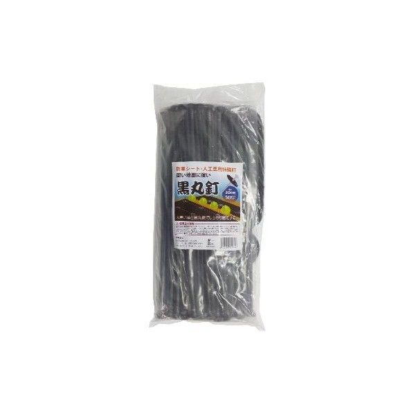 30cm 50セット