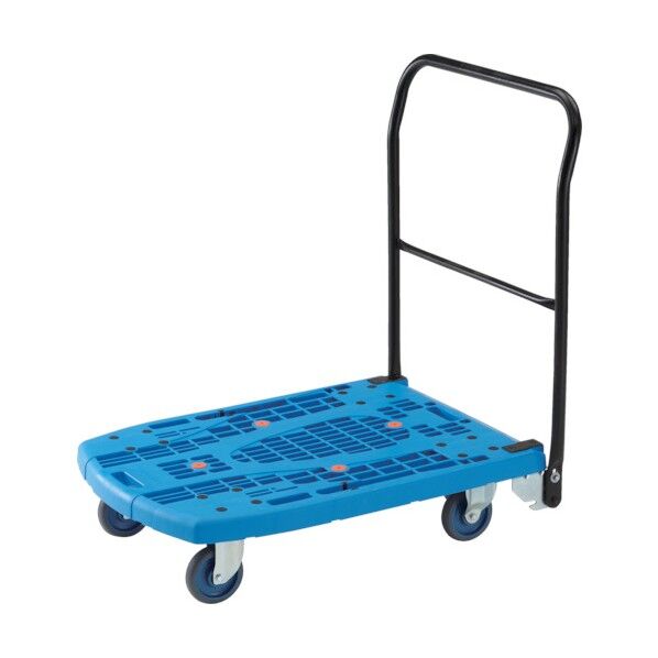 カルティオビッグフラット