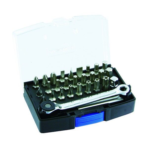 Pro-Auto 31PCミニリバースギアラチェトセット