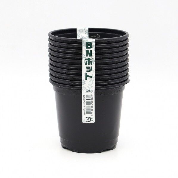 BNポット100 10P クロ 10個