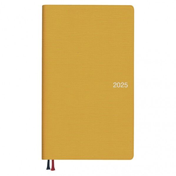 E1375 APダイアリー1月始