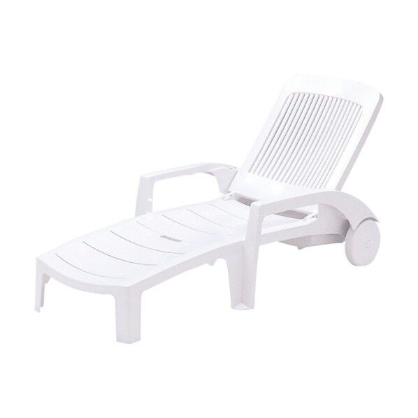 フィジーサンラウンジャー