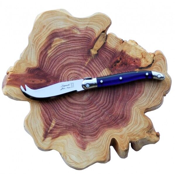 ライヨール ABS ミニチースﾞナイフ &木製ホﾞートﾞ Pフﾞルー