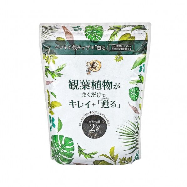 観葉植物がまくだけ