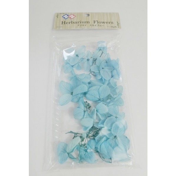 アジサイ スカイブルー 1個