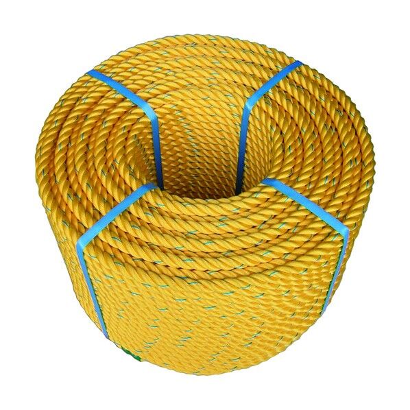 黄 SUPERSROPE 1巻