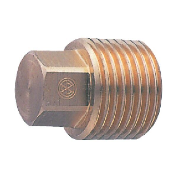 砲金プラグ T760-25 1