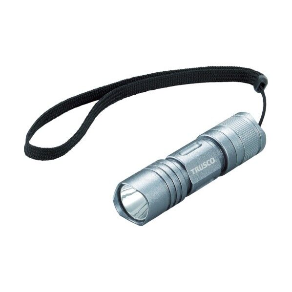 アルミＬＥＤライト１７０ルーメンΦ２３．５Ｘ９２