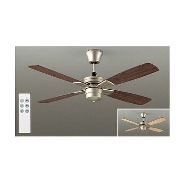 シーリングファン