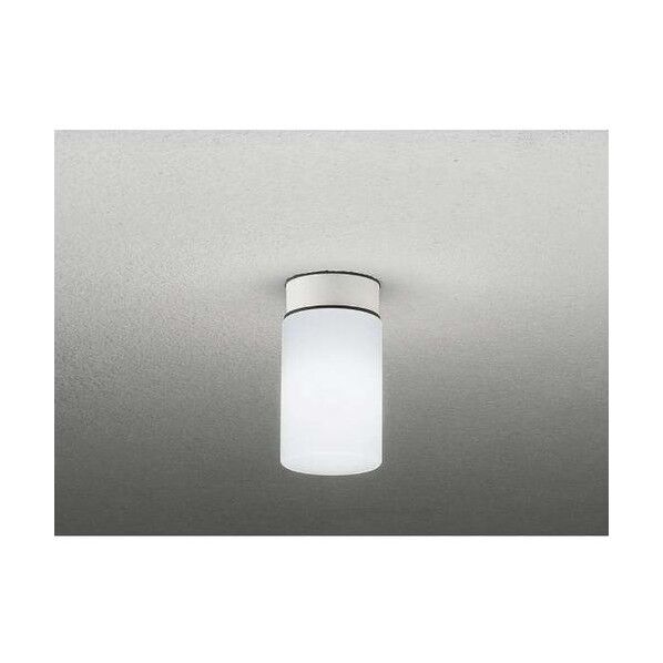 LED浴室灯 クリアパッケージタイプ 径100×出190mm DXL81337C 1台