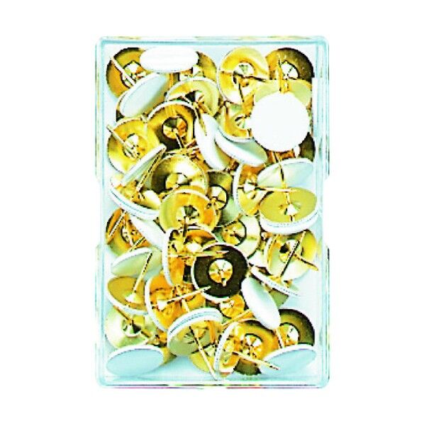 二重画鋲足長着色白 40本 M10138