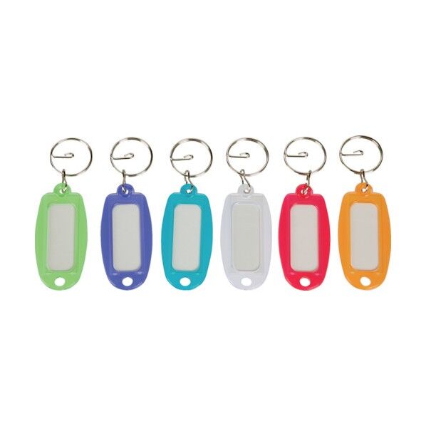 名札キーホルダー 透明6色×各1枚入アソート TNHT-6 6枚