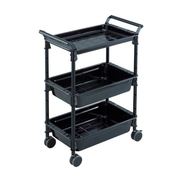 シャインカート パールブラック TWR-2GCBK 1点