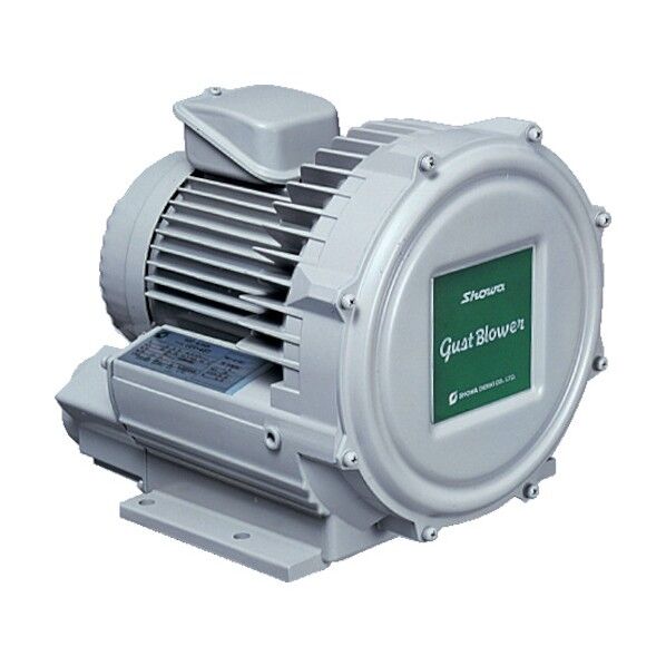 電動送風機渦流式高圧シリーズガストブロアシリーズ（０．１ｋＷ） U2V10T 1