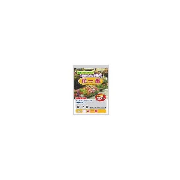 花一番 700g #371049 1個