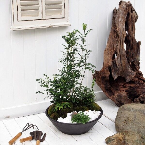 myトネリコガーデン 陶芸ポットセレス スチールブラック Φ400×600mm 745870 1台