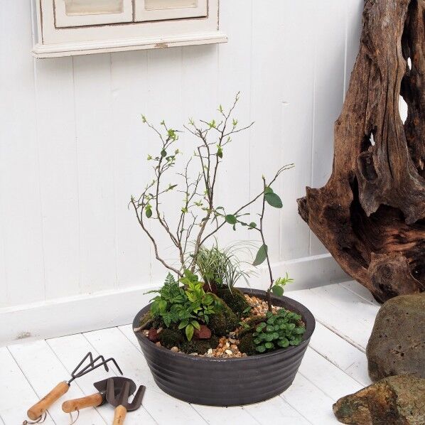 myブルーベリーガーデン陶芸ポットラルゴ スチールブラック Φ400×600mm 745880 1台