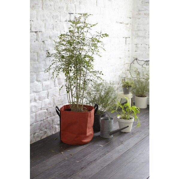 シマトネリコxBACSAC POT COLOR オレンジ Φ320×1,000mm 25L 745990 1台