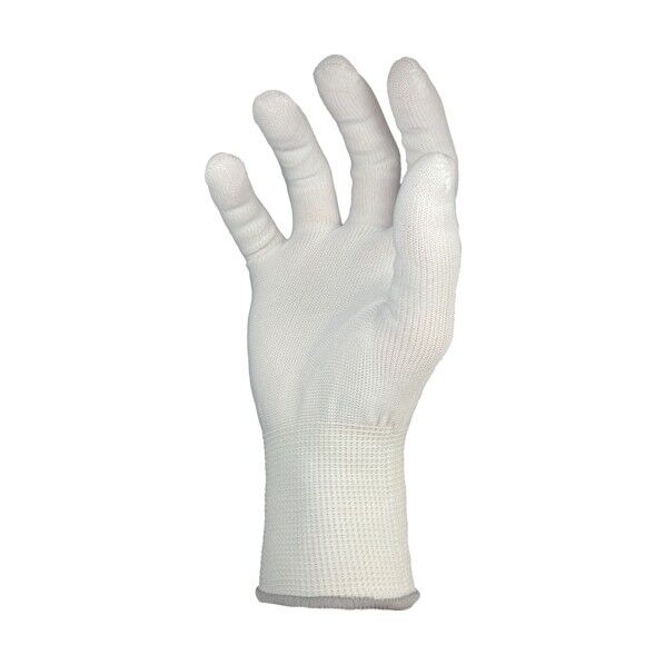 フィット インナー (10双入)