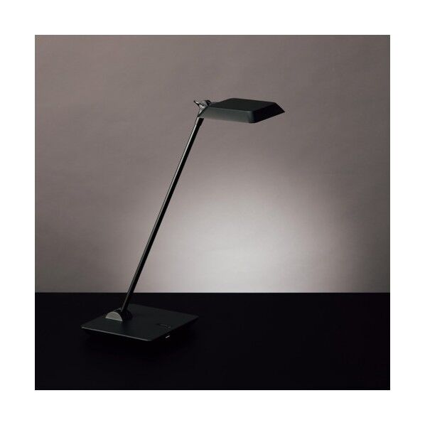 LEDライト Zライト