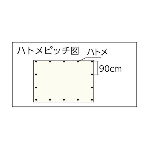 ユタカ ＃3000ODグリーンシート3．6mx5．4m 440 x 311 x 108 mm OGS-11 1枚