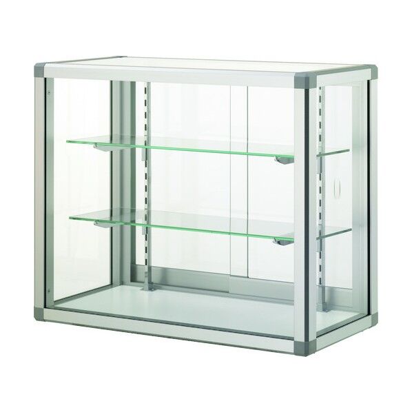 フォルティッシュ アップケース シルバー プッシュ錠付 600×450×H600 P60456S-P 1台