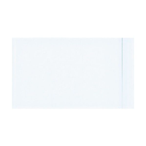 デリバリーパック完全密封タイプ145×250(100枚入) 266 x 157 x 28 mm PA-002T 100枚