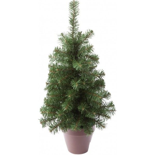 ポットツリー 60cm CAB-046 1本