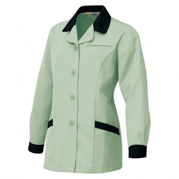 エコ交織 マルチワーク レディース長袖スモック 005アースグリーン LL 6366 1点