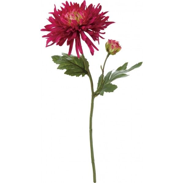 ジェネラスマム BTY FA -6978 1本