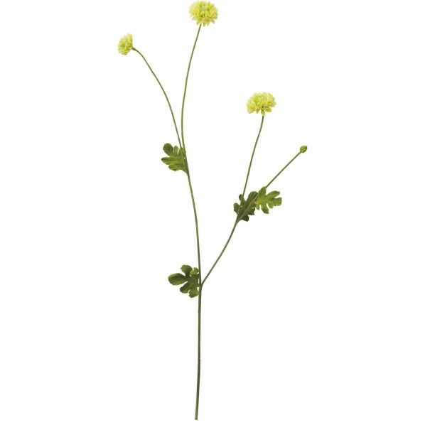 フレッシュマムスプレー