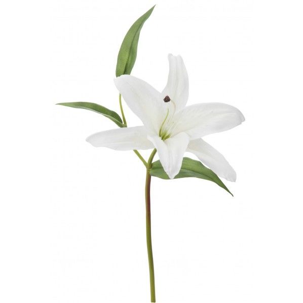 ウォータリーリリーショート W FA -7001 1本