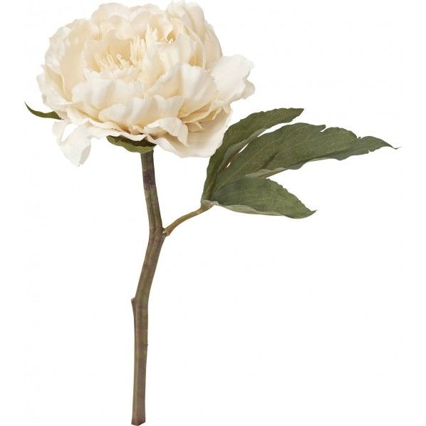 アートピオニーショート BE FA -7033 1本