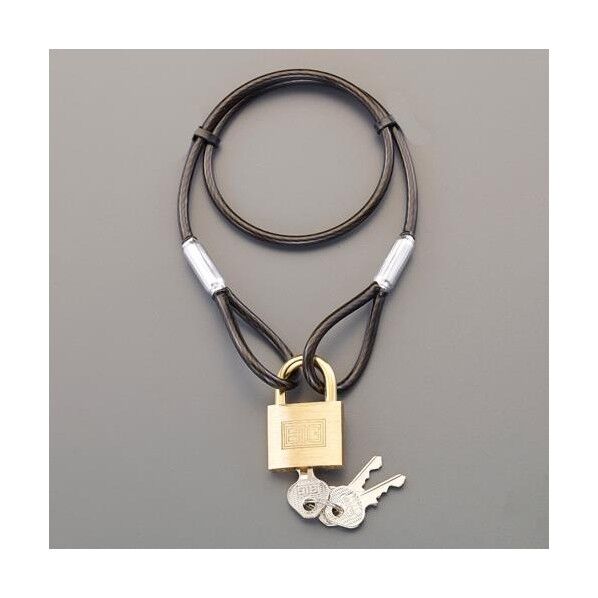 φ4.3x 545mm ワイヤーロック(シリンダー錠/同一キー) EA983TT-41S 1セット...