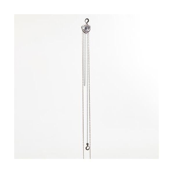 250kgx5.0m チェーンブロック