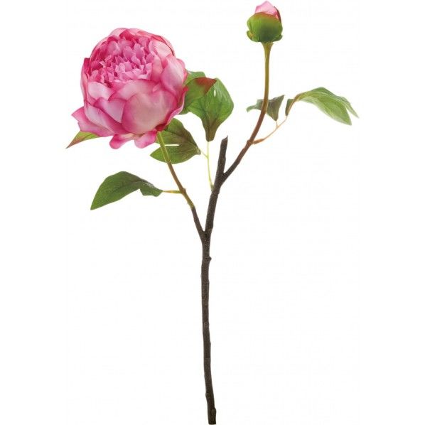 ボタン*2 LAV FA -6672 1本