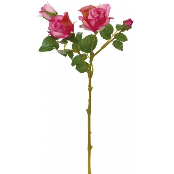 エレンローズスプレー