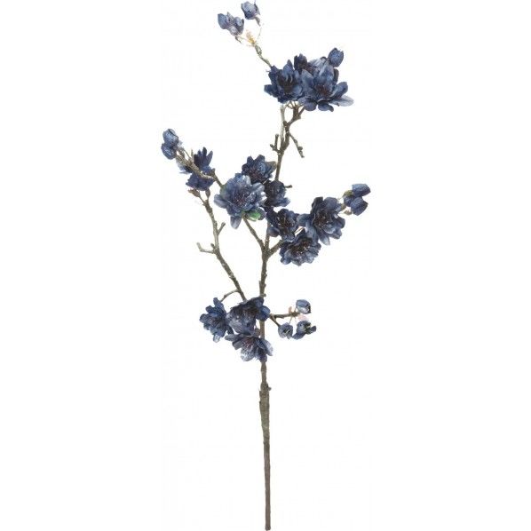 インディゴサクラ