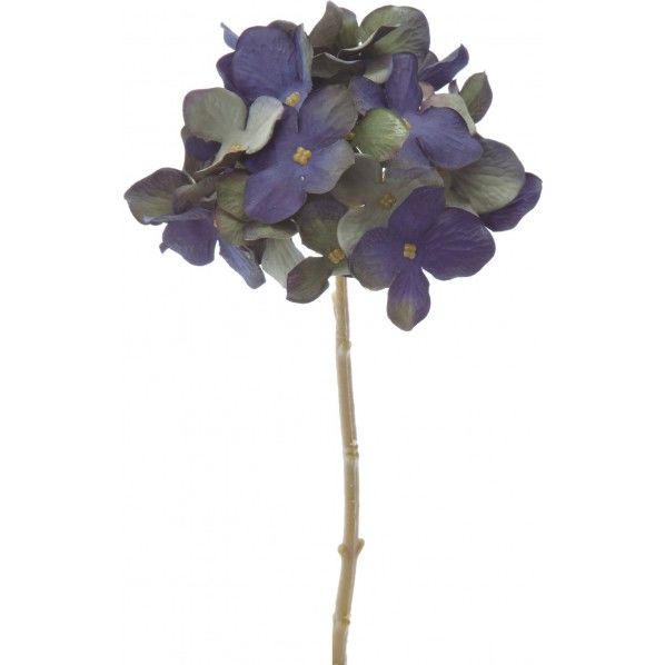 インディゴアジサイ BLG FA -7128 1本