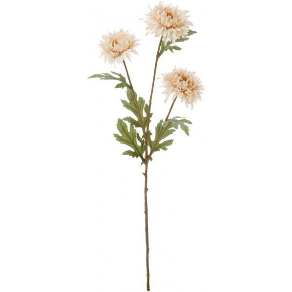 ドライドアスタースプレー BE FA -7188 1本