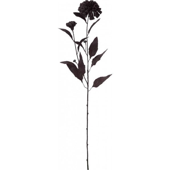 ノアールジニアスプレー BK FA -7190 1本