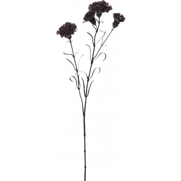 ノアールカーネーション BK FA -7192 1本