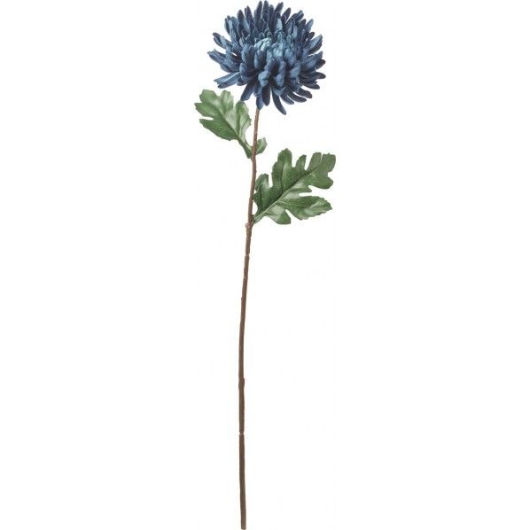 大和菊 BLU FA -7199 1本