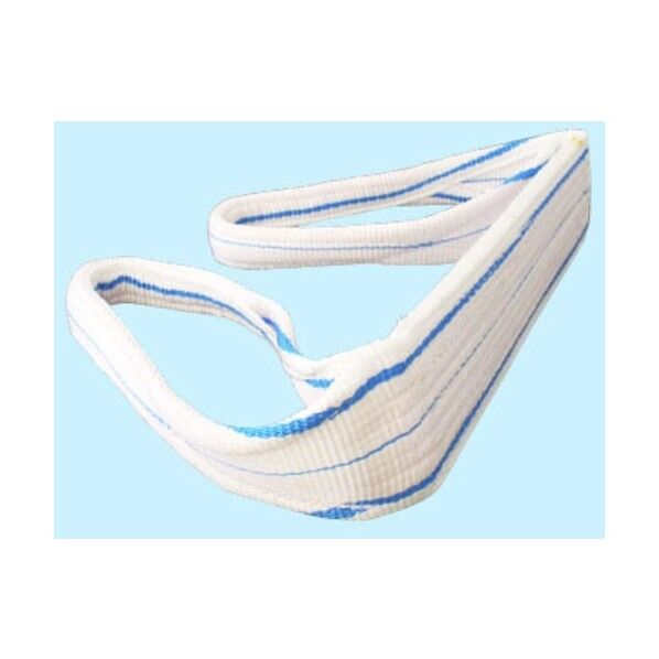 耐化学薬品用スリング(JIS2等級・両端アイ形)100mm幅×4m PP2E100X4 1点