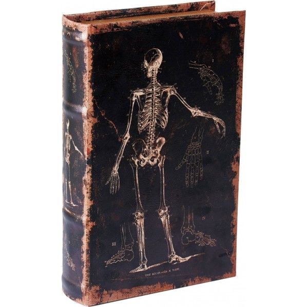 ブックケーススカル