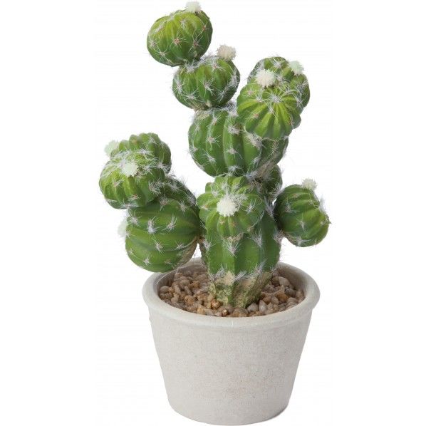 エキノプシスポット GR 便利グッズ（文具・OA機器） GLA-1434 1個