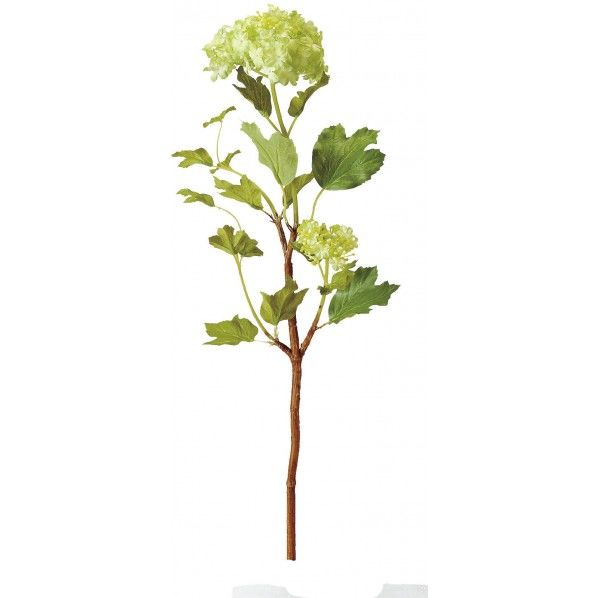 フレッシュスノーボール