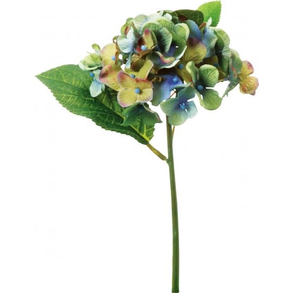 アジサイピック